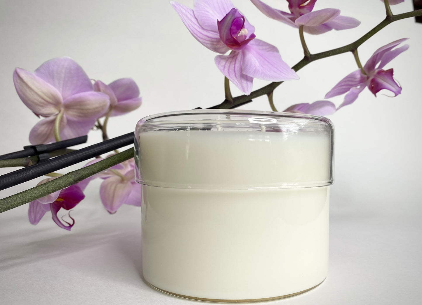 Juicy Noir -All Natural Coconut Soy Candle - 14 oz.